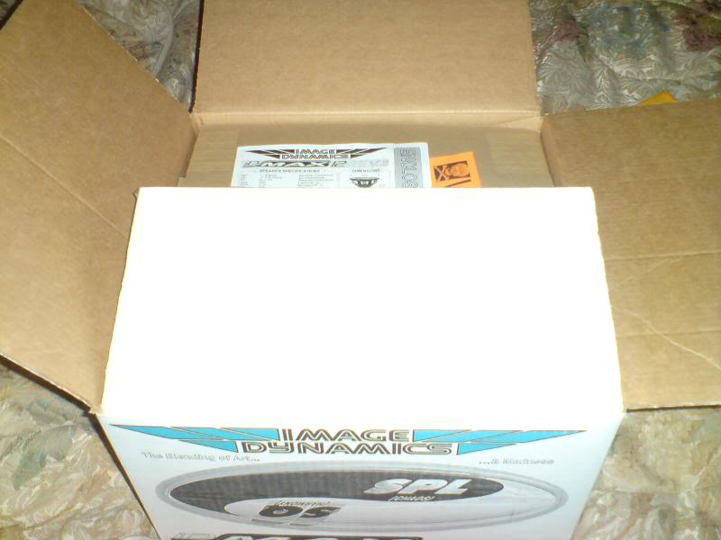 DSC08274.jpg