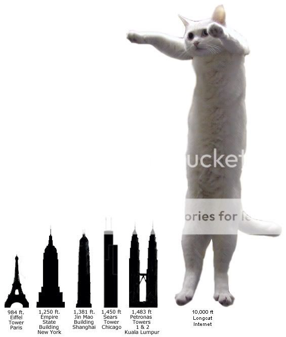 longcat4.jpg