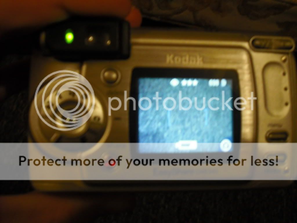 Picture044.jpg