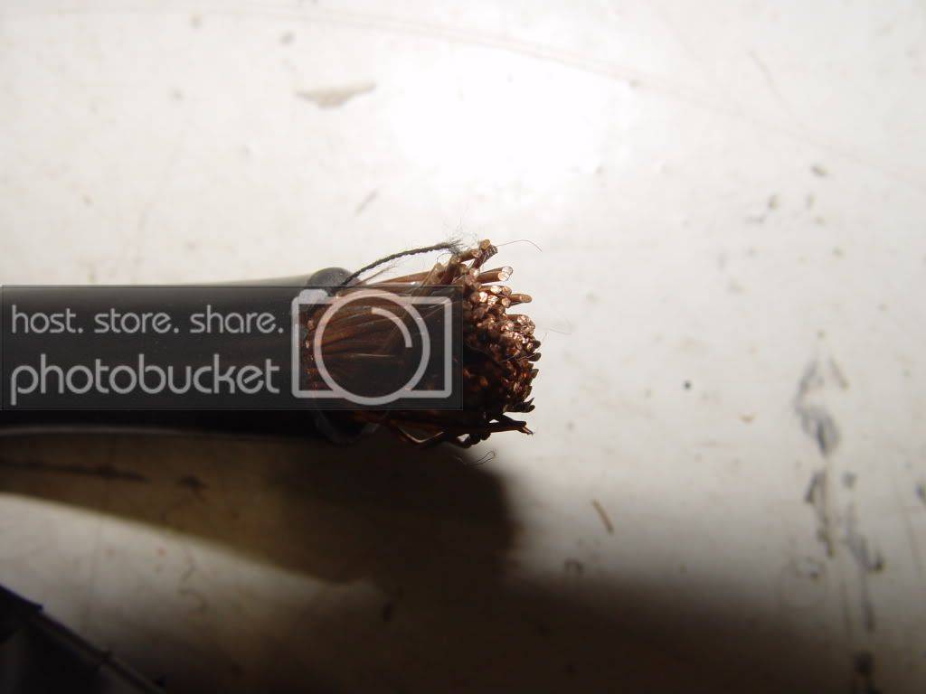 DSC05031.jpg