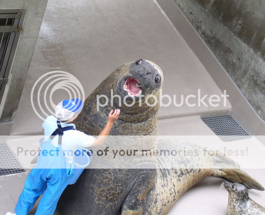 lolrus7kl.jpg