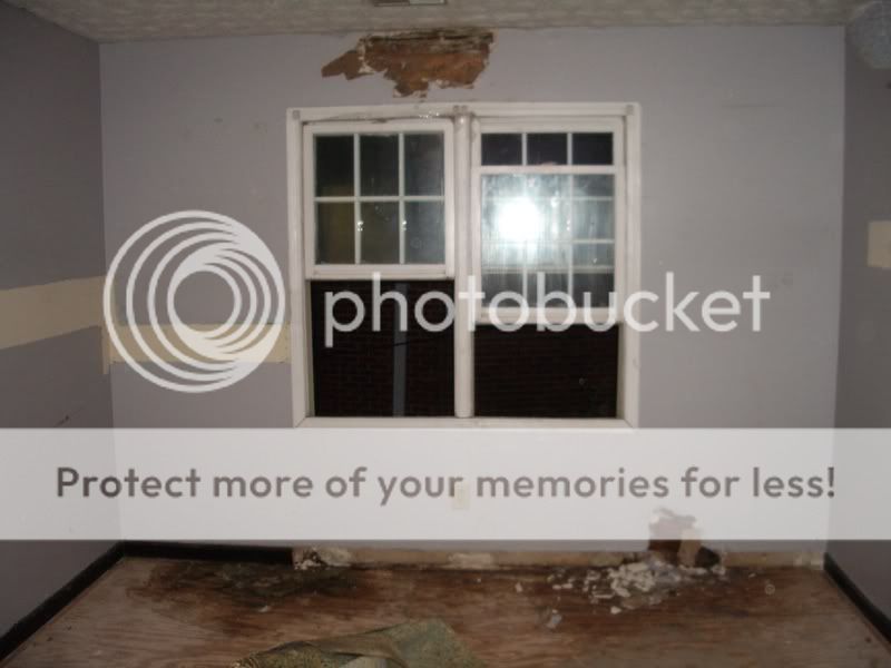 IMGP1245.jpg
