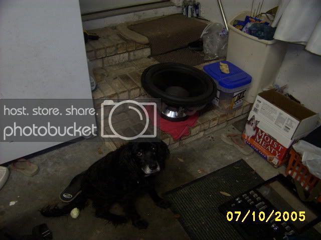 Picture465.jpg