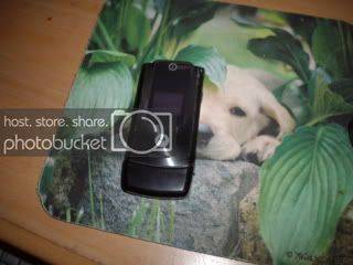 w490002.jpg