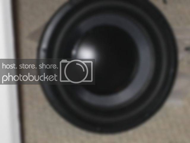 Dukey005.jpg