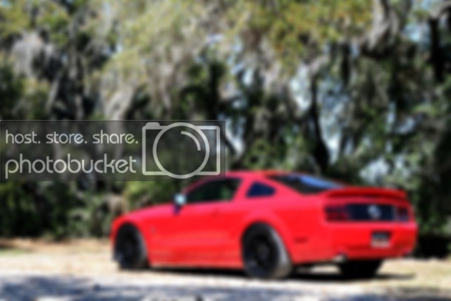 mustang10.jpg
