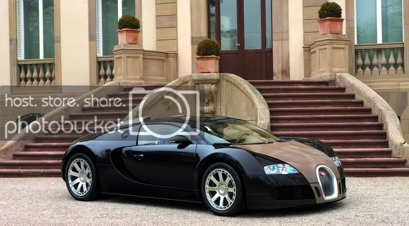 bugatti-veyron-hermes-2-big.jpg