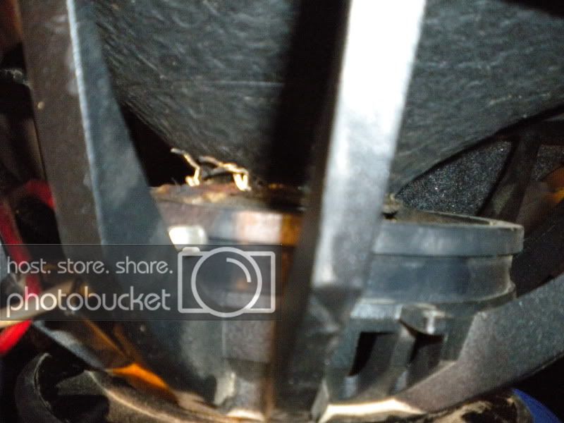 DSCN0218.jpg