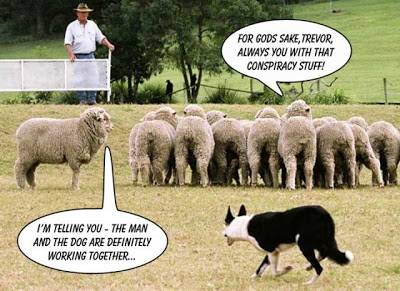 sheep+conspiracy.jpg