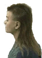 mulletboy3.gif