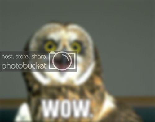 wowwow.jpg