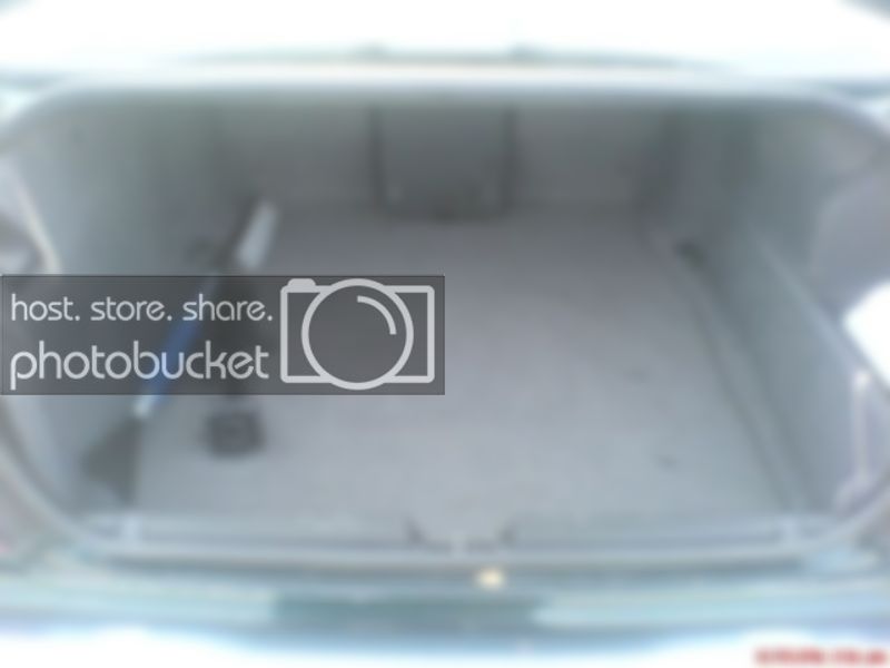 trunk-1.jpg