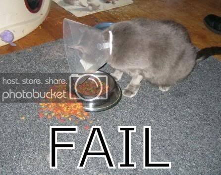FAIL.jpg