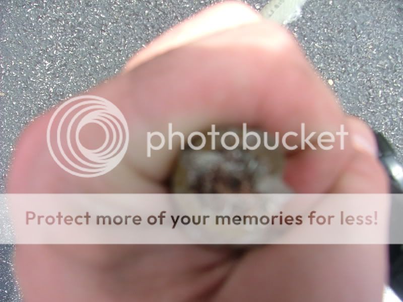 DSCF3366.jpg