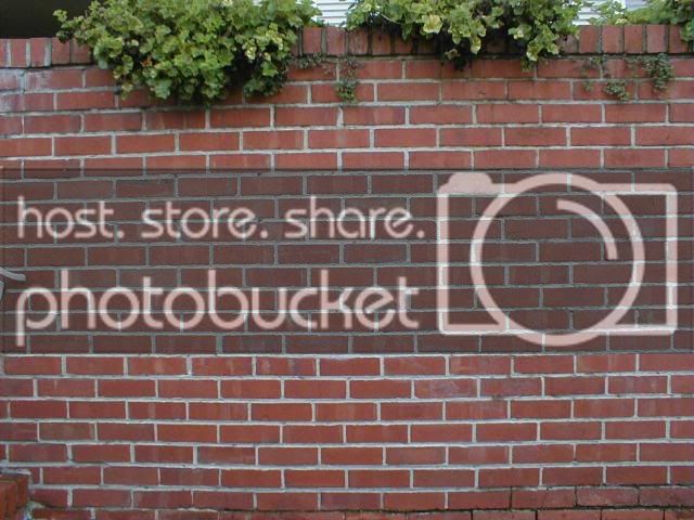 BrickWall.jpg