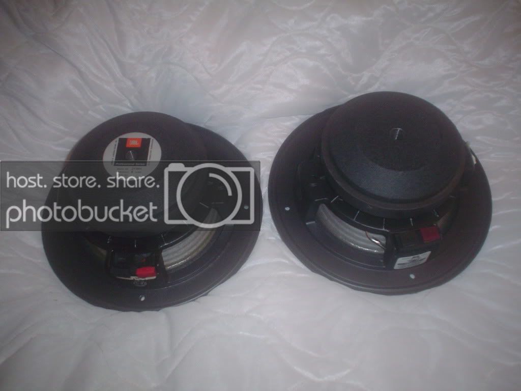DSC03217.jpg