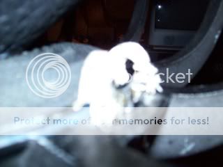 100_0050.jpg