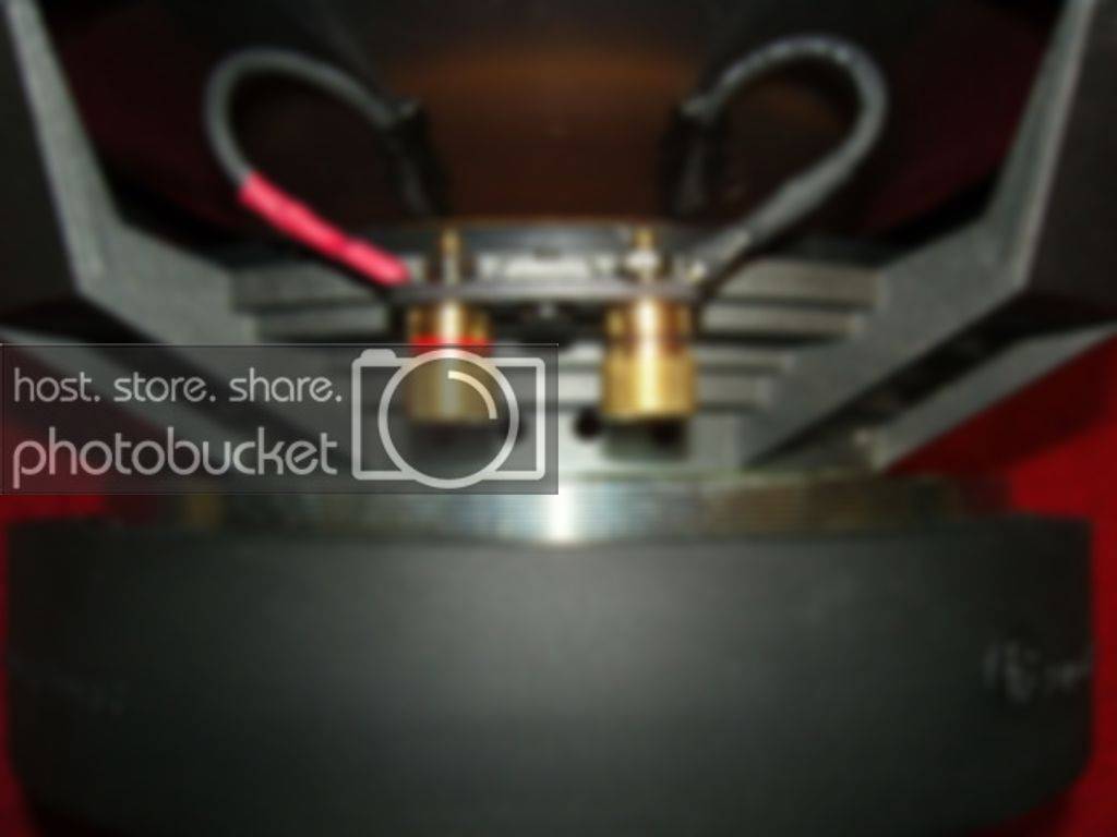 SNC10005.jpg