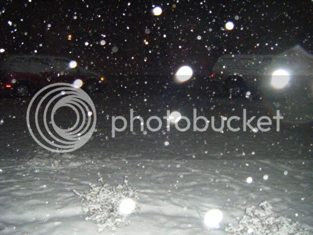 snow010.jpg