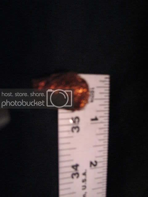 20080609_0142.jpg