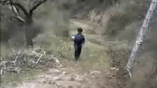 g5o5g.gif