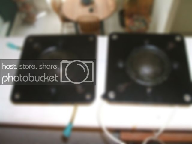 DSCF0839.jpg