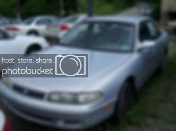 7721268452247498082IM102565x421_A56.jpg