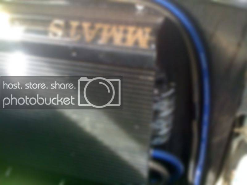 d300badpic.jpg