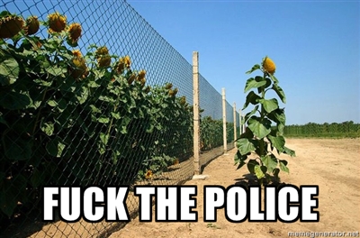 EHv6p.jpg