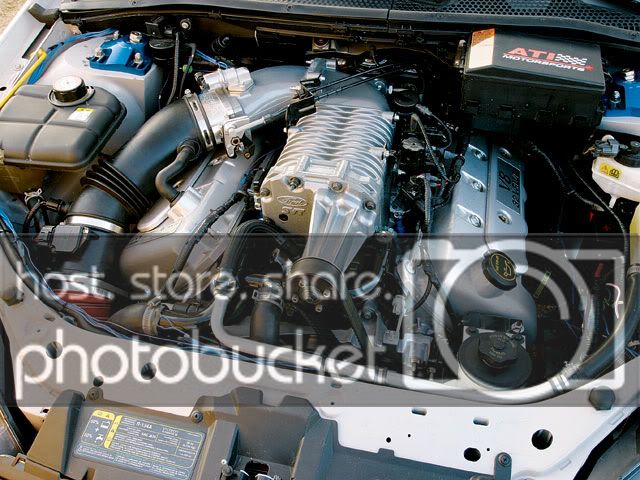 v8focus.jpg