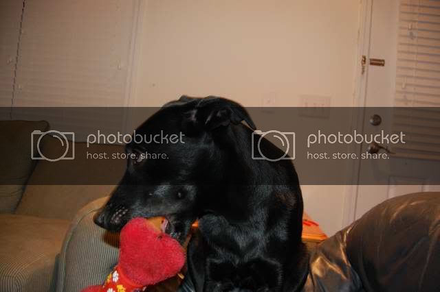 DSC_00080021.jpg