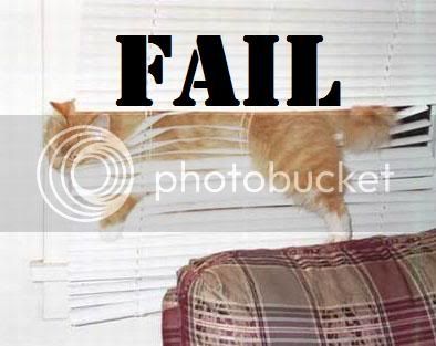 fail_cat.jpg