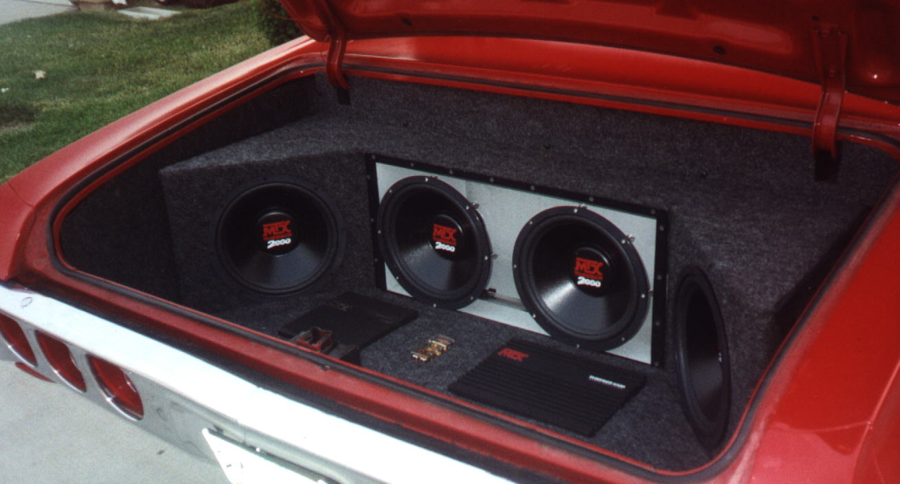 Trunk4.jpg