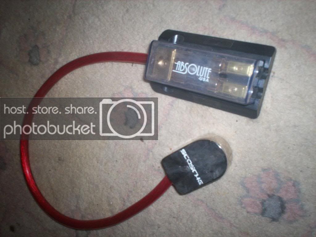 100_0210copy.jpg