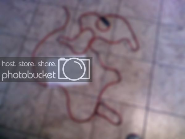wire2.jpg