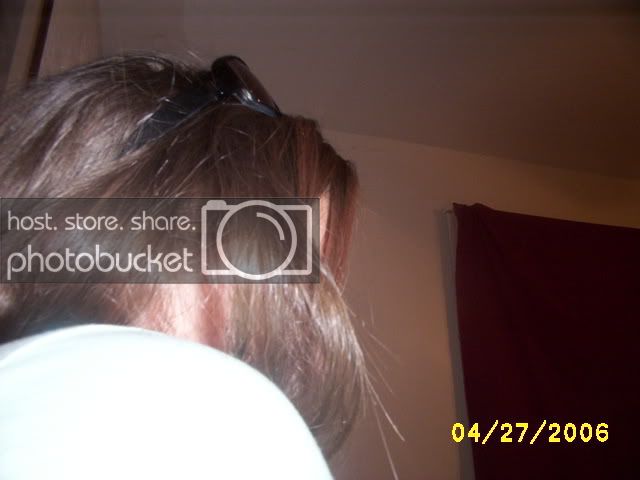 Picture252.jpg