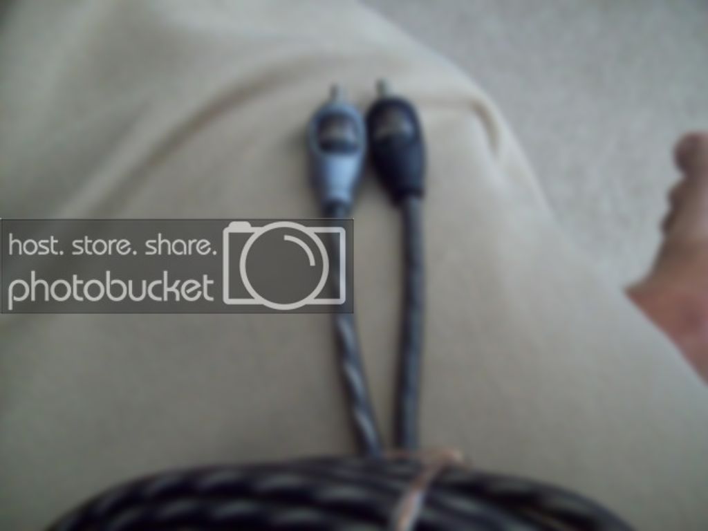 Picture234.jpg