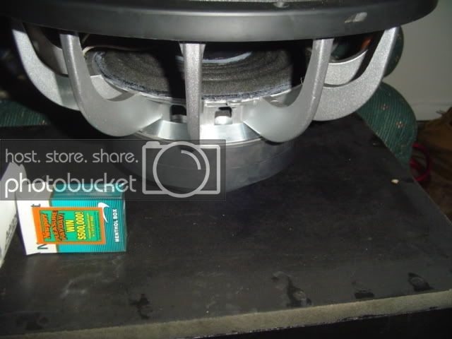 DSC00207.jpg