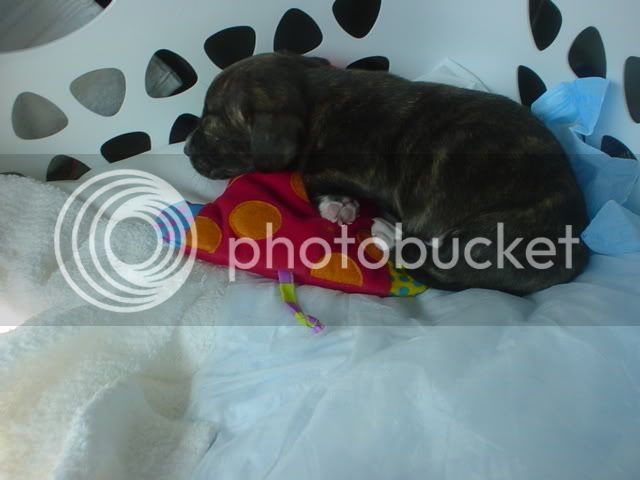Picture026.jpg