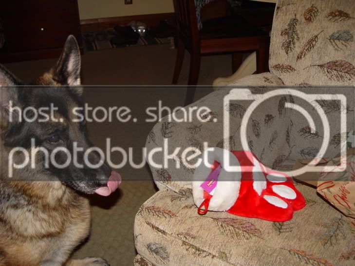 Picture137.jpg