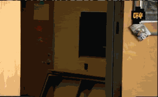 33ldvnn.gif