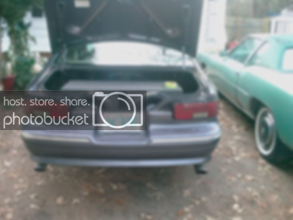 IMAG0193.jpg
