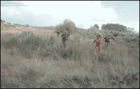 DFH01.gif