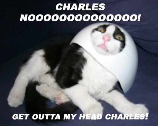 juggernautcat_1.jpg