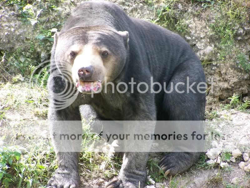 zoo087.jpg