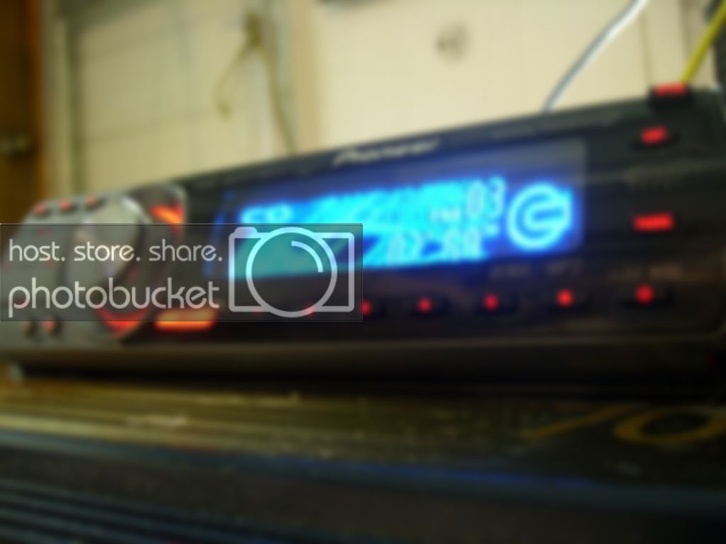 SL730957.jpg