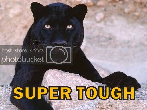 BlackLeopard2.jpg