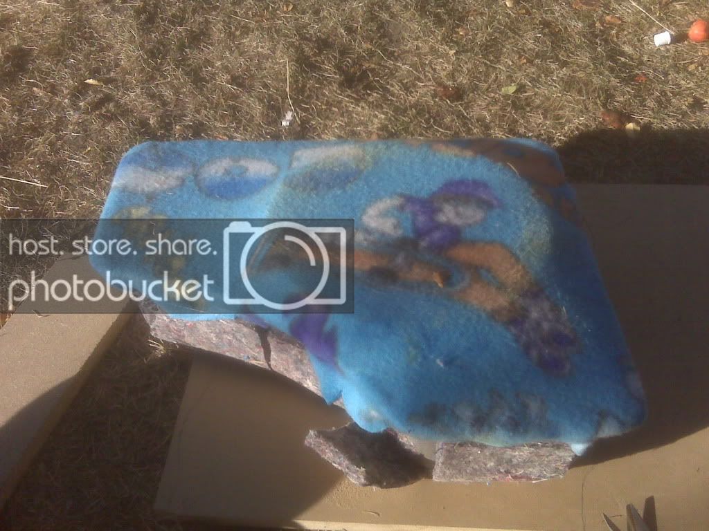 IMG00171.jpg