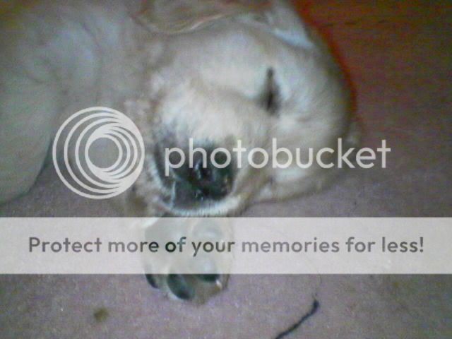 Picture049.jpg