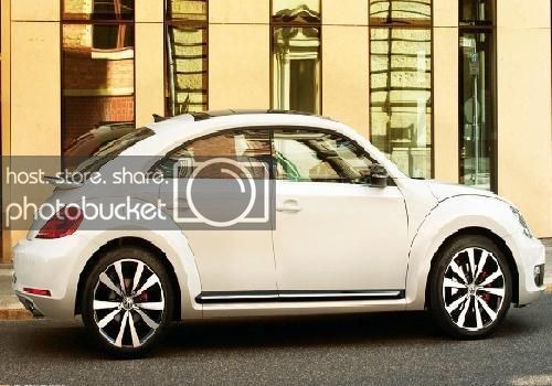 IFWT_beetle_zpstolcz4hq.jpg